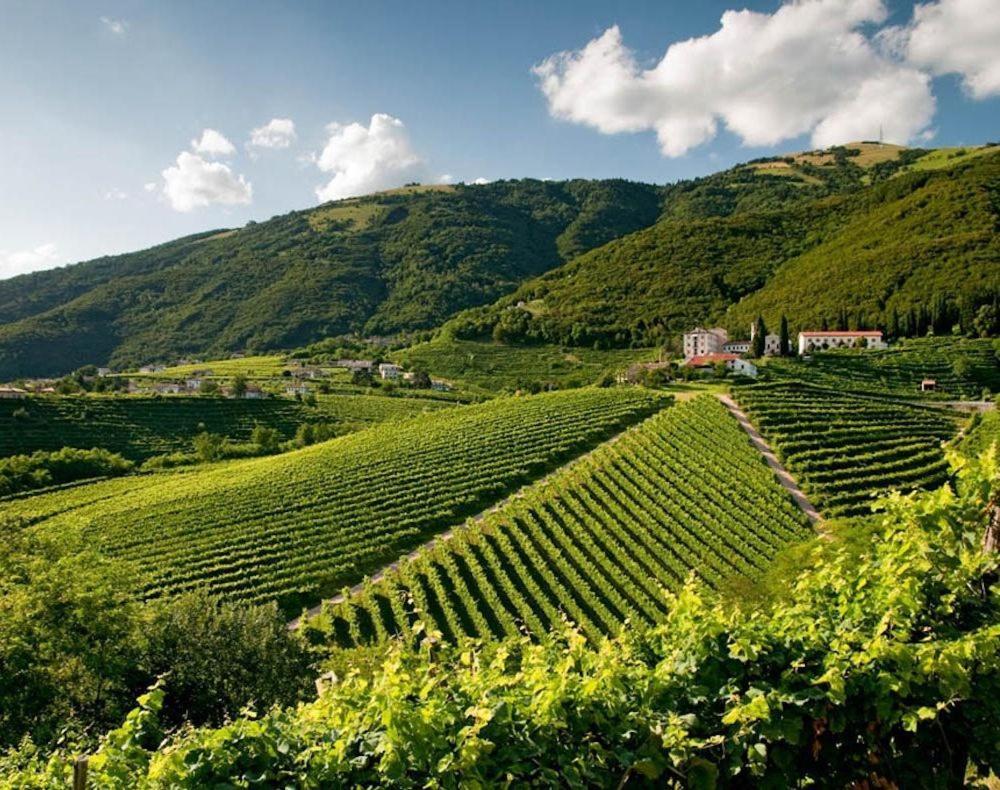 Follinetta10 - Enjoy Holiday Home In The Prosecco Hills Follina Bagian luar foto
