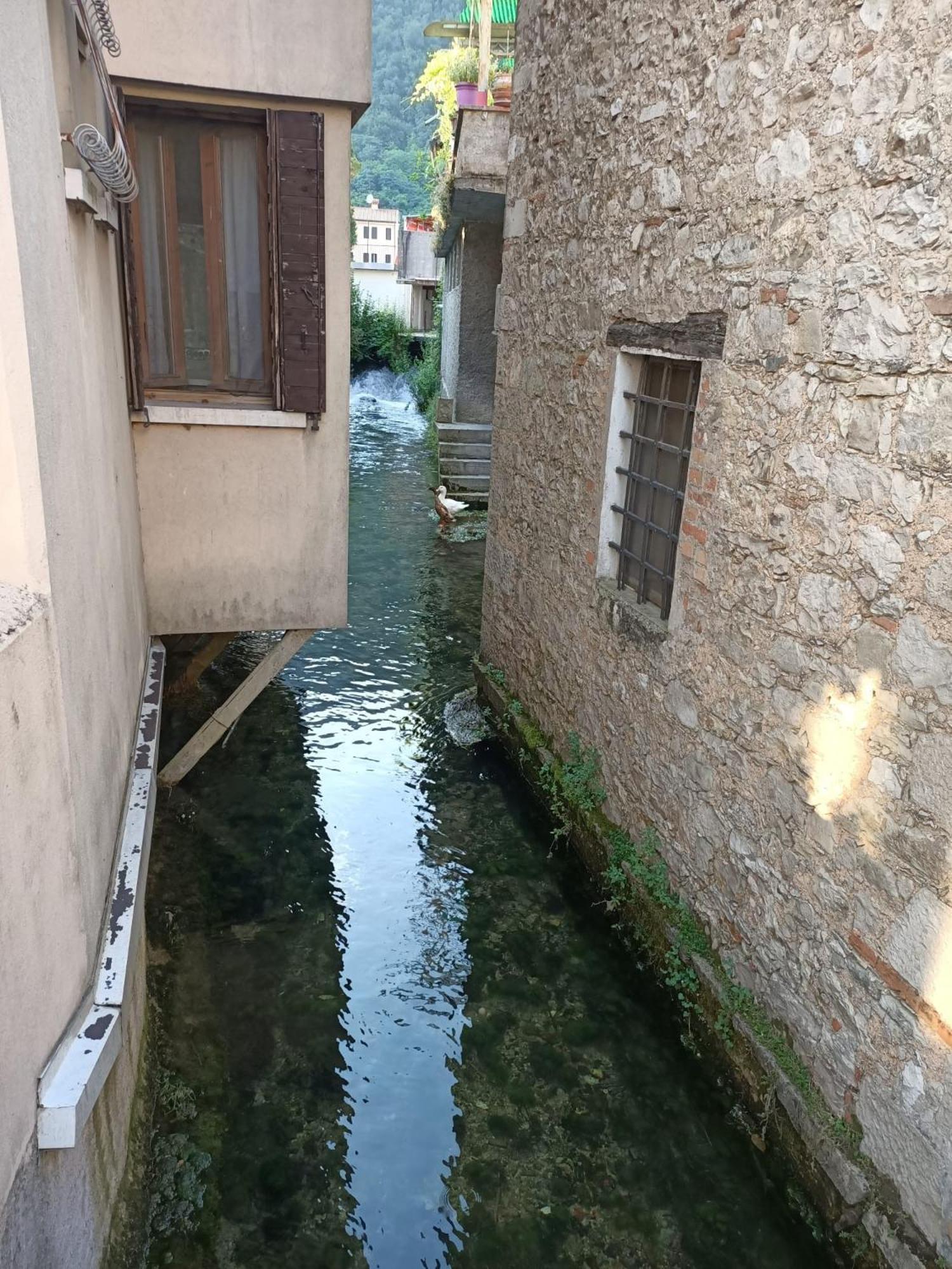 Follinetta10 - Enjoy Holiday Home In The Prosecco Hills Follina Bagian luar foto